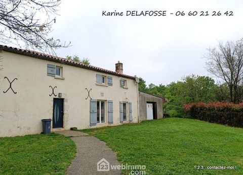 photo no. 12