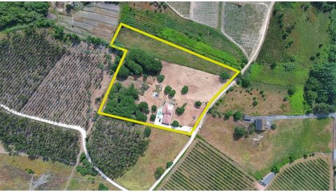 Découvrez cette magnifique ferme individuelle de 1,5 hectares de terrain à Alcoentre, à seulement 45 minutes de Lisbonne et à 15 minutes de Rio Maior, où le TGV passera bientôt. Vous pouvez également profiter à 30/35 minutes du village historique d'Ó...