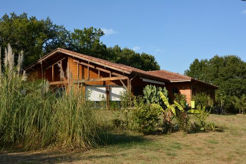photo no. 5