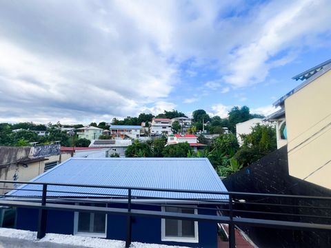 photo no. 11