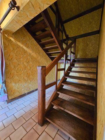 photo no. 11
