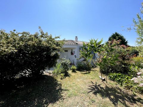 photo no. 3