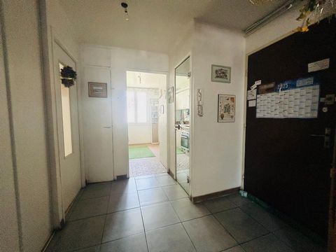 photo no. 3