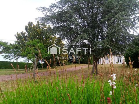 photo no. 4