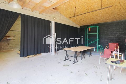 photo no. 8