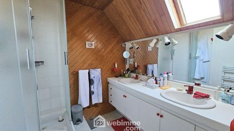 photo no. 12