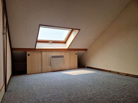 photo no. 15