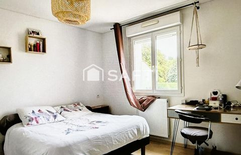 photo no. 6