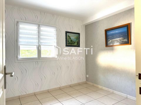 photo no. 11