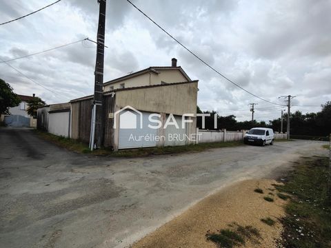 photo no. 2