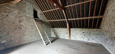 photo no. 12