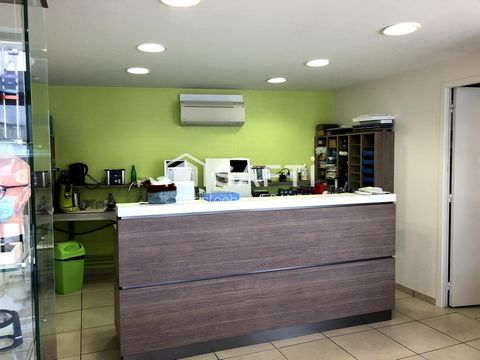 photo no. 4