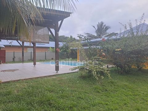 photo no. 1