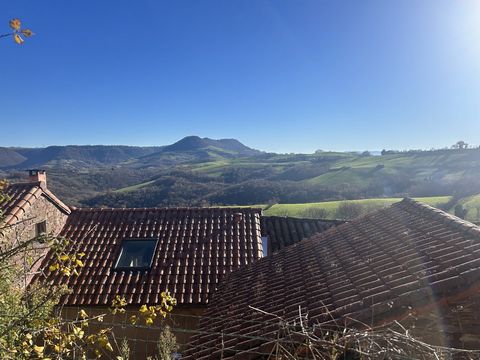 Maison de village + jardin + vue imprenable - VALLEE DU TARN