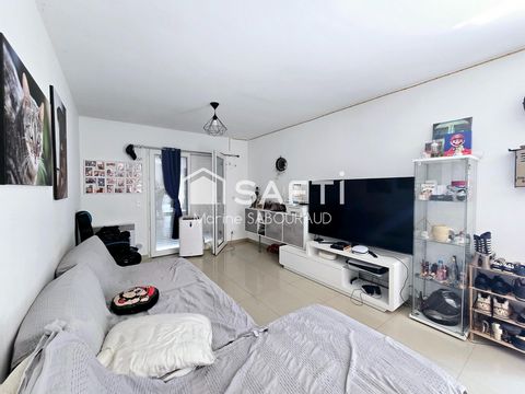 photo no. 9