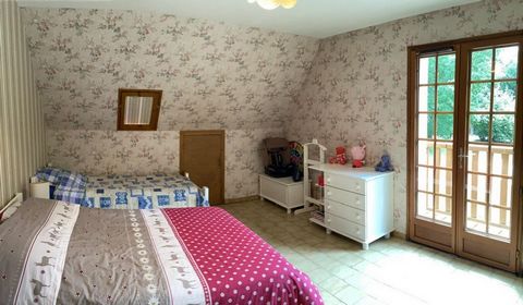 photo no. 12