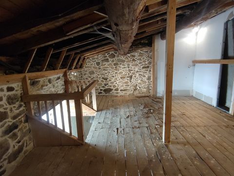 photo no. 13