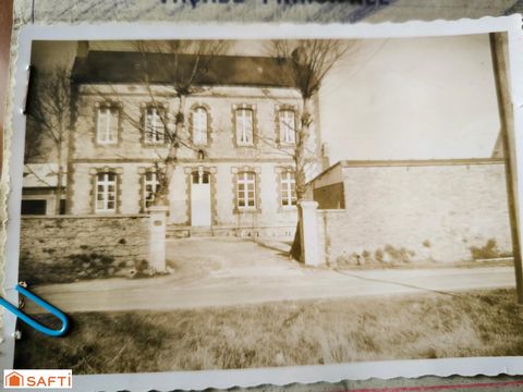 photo no. 11