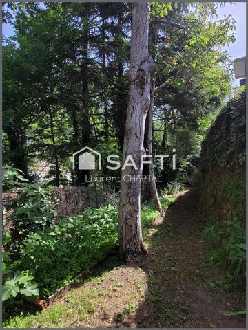 photo no. 3