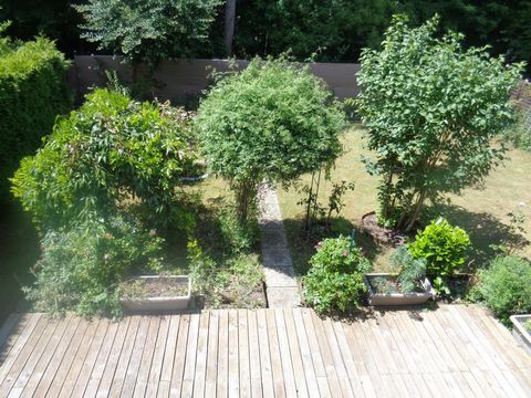 photo no. 8