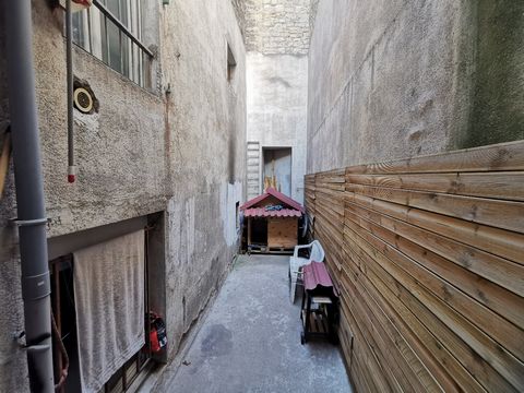 photo no. 13