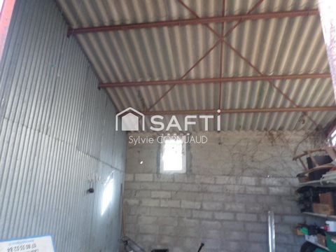 photo no. 13