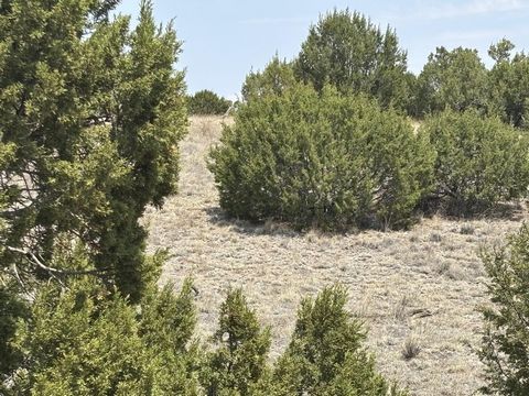 Immergez-vous dans les merveilles naturelles et la faune de l’ouest du Nouveau-Mexique et profitez de soirées fraîches et d’une oasis d’étoiles la nuit. Découvrez la beauté sereine des ranchs de Pinon Springs avec cette parcelle de 20 acres prête à c...