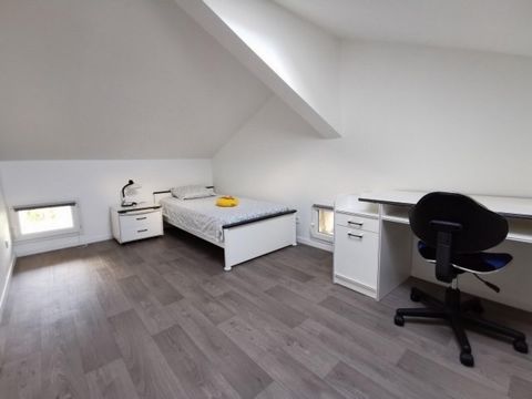 photo no. 12