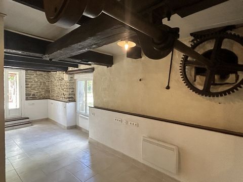 photo no. 13