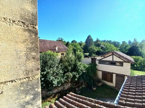 photo no. 14