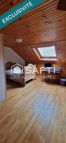 photo no. 12