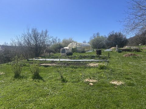 photo no. 18