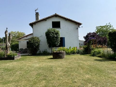 photo no. 16