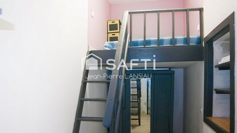photo no. 6