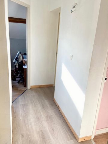 photo no. 11