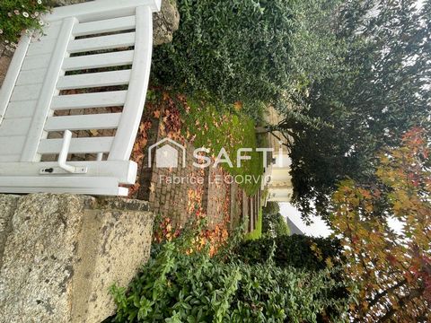 photo no. 15