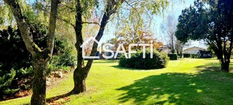 photo no. 13