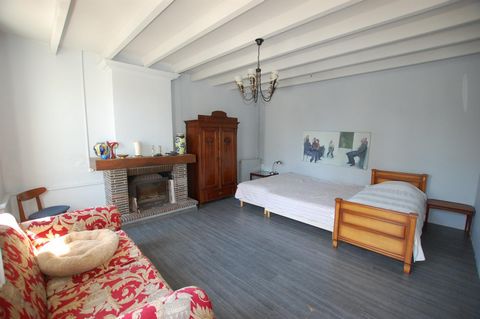 photo no. 6