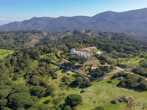 La sensation de légèreté, la nature qui l'entoure, la vue sur l'horizon et les deux moulins à vent font de cette Quinta, située dans le parc naturel de la Serra da Arrábida, une propriété unique dans la région de Palmela. Situé à l'un des points les ...