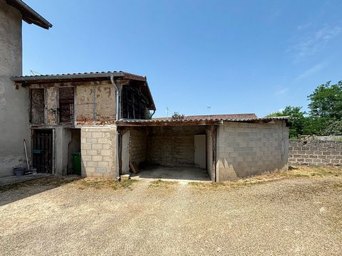photo no. 4