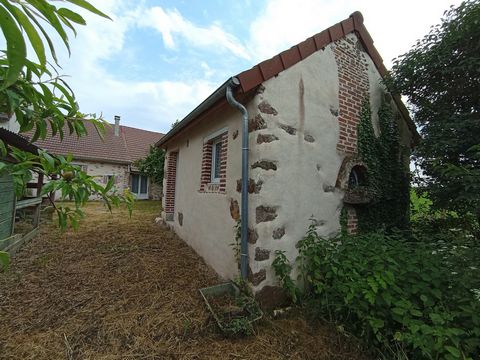 photo no. 4