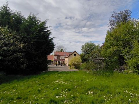 photo no. 12