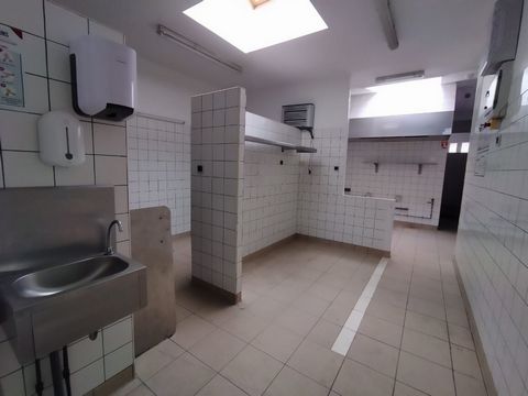 photo no. 13