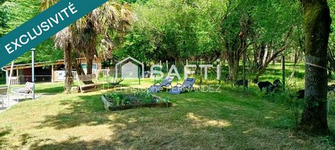 photo no. 13