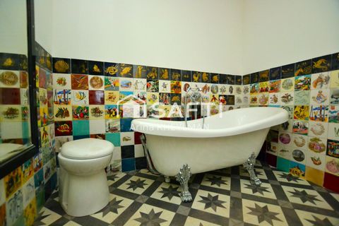 photo no. 8