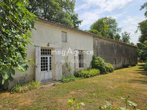 photo no. 13