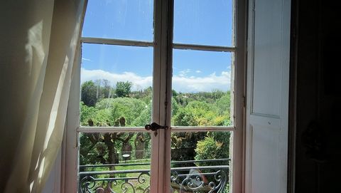 photo no. 31