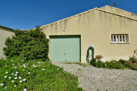 photo no. 1