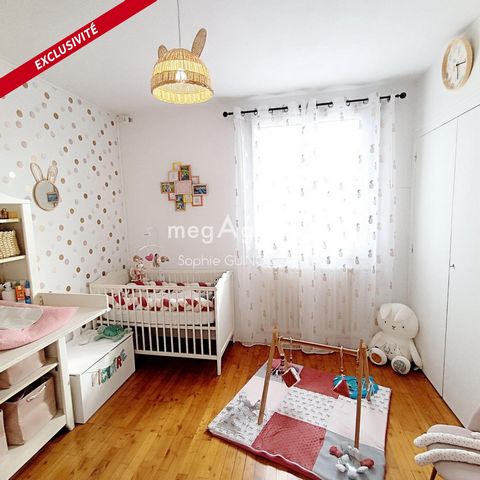 photo no. 11