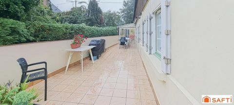 photo no. 11